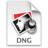 DNG Icon